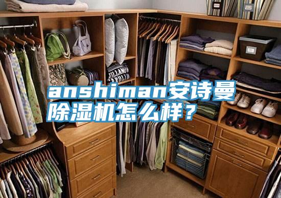 anshiman安詩曼除濕機怎么樣？