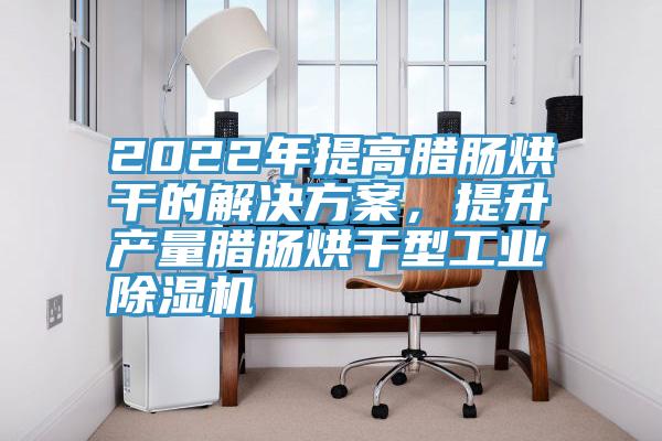 2022年提高臘腸烘干的解決方案，提升產(chǎn)量臘腸烘干型工業(yè)除濕機(jī)