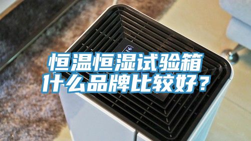 恒溫恒濕試驗(yàn)箱什么品牌比較好？