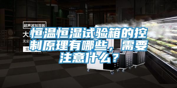 恒溫恒濕試驗(yàn)箱的控制原理有哪些，需要注意什么？