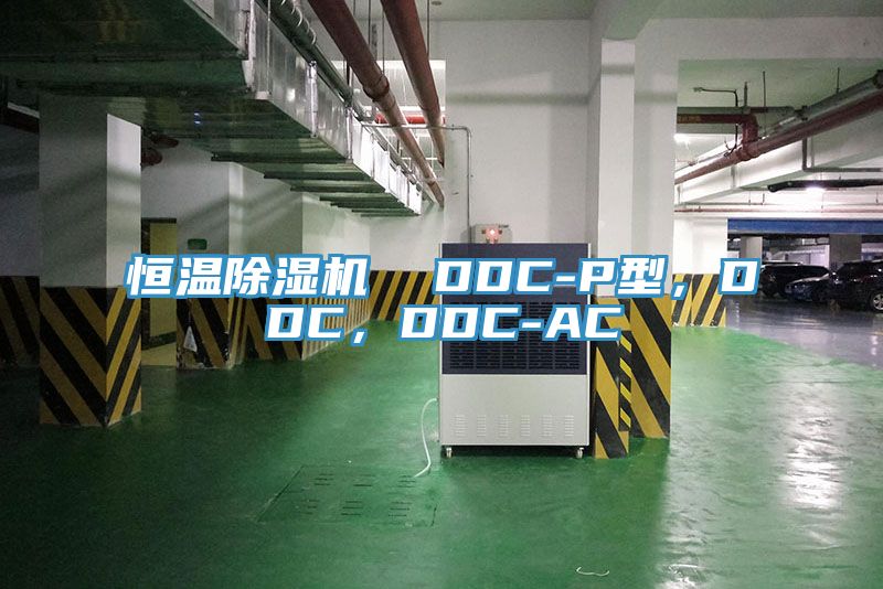 恒溫除濕機(jī)  DDC-P型，DDC，DDC-AC