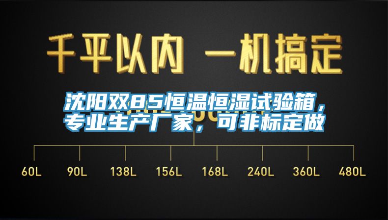 沈陽雙85恒溫恒濕試驗(yàn)箱，專業(yè)生產(chǎn)廠家，可非標(biāo)定做