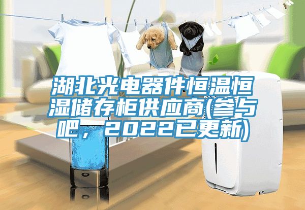 湖北光電器件恒溫恒濕儲存柜供應(yīng)商(參與吧，2022已更新)