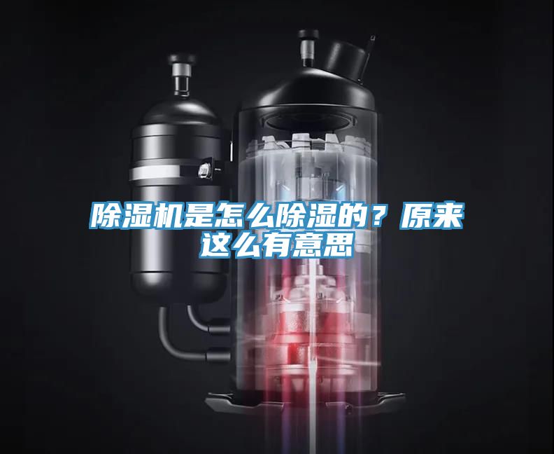 除濕機是怎么除濕的？原來這么有意思