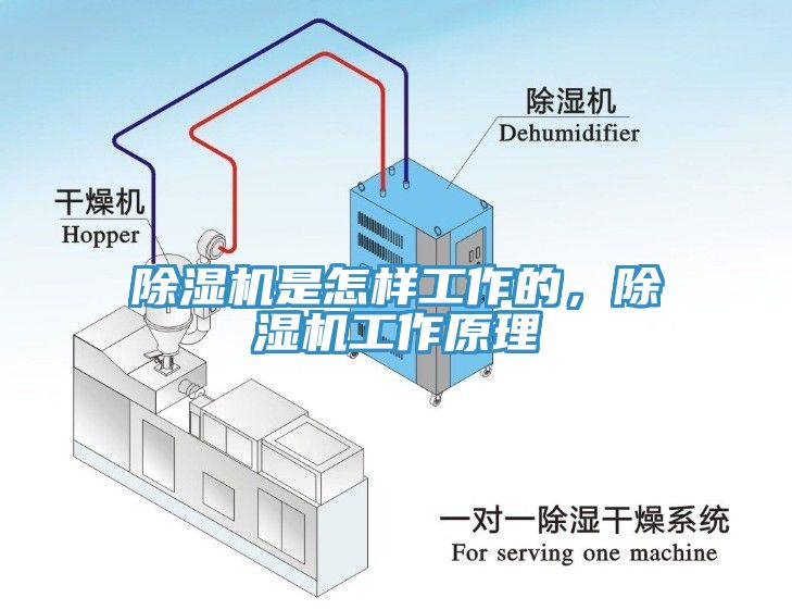 除濕機是怎樣工作的，除濕機工作原理