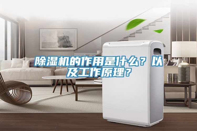 除濕機(jī)的作用是什么？以及工作原理？