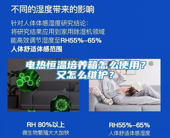 電熱恒溫培養(yǎng)箱怎么使用？又怎么維護？