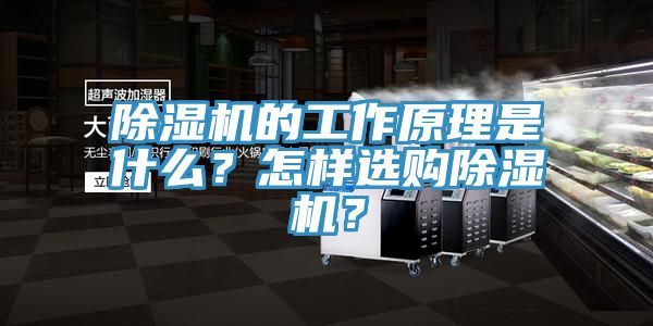 除濕機(jī)的工作原理是什么？怎樣選購(gòu)除濕機(jī)？